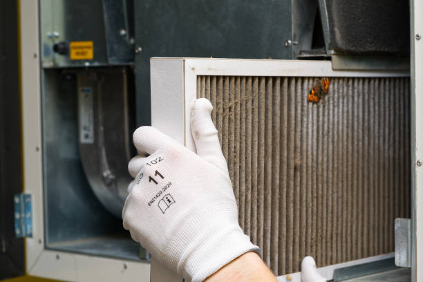 Best Dryer Vent Cleaning Services  in Crisfield, MD